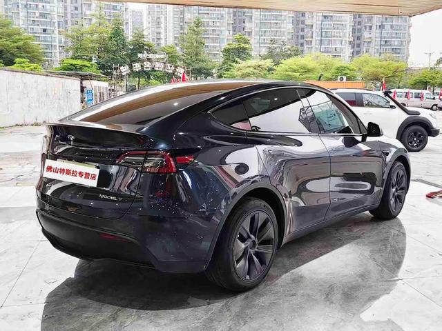 Tesla Model Y 2024 Long Range AWD – фото 3