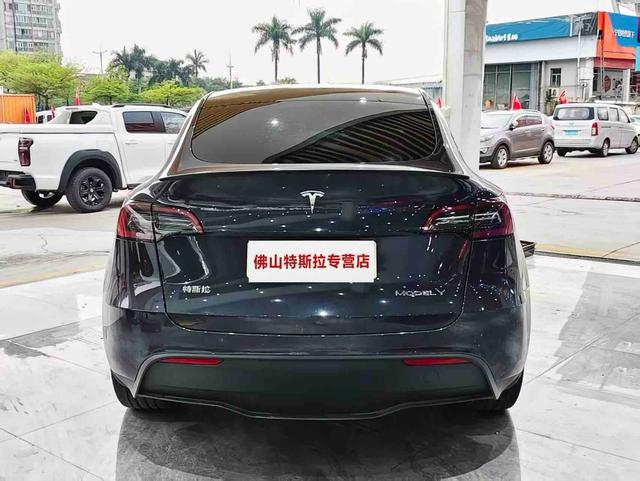 Tesla Model Y 2024 Long Range AWD – фото 4