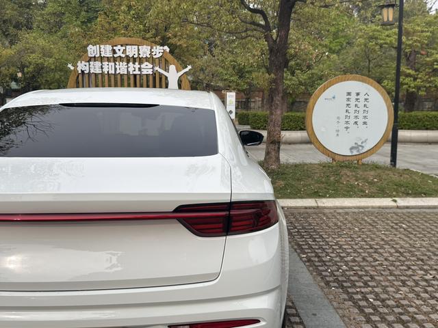 Geely Xingrui 2023 2.0T Premium – фото 12