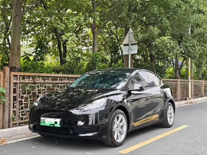 Model Y 2022 Model Facelift Rear-wheel drive version – фото 1