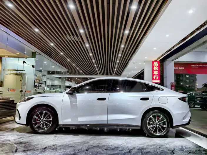 BYD Seal 06 DM 2024 Model DM-i 120KM Zunrong Model – фото 4