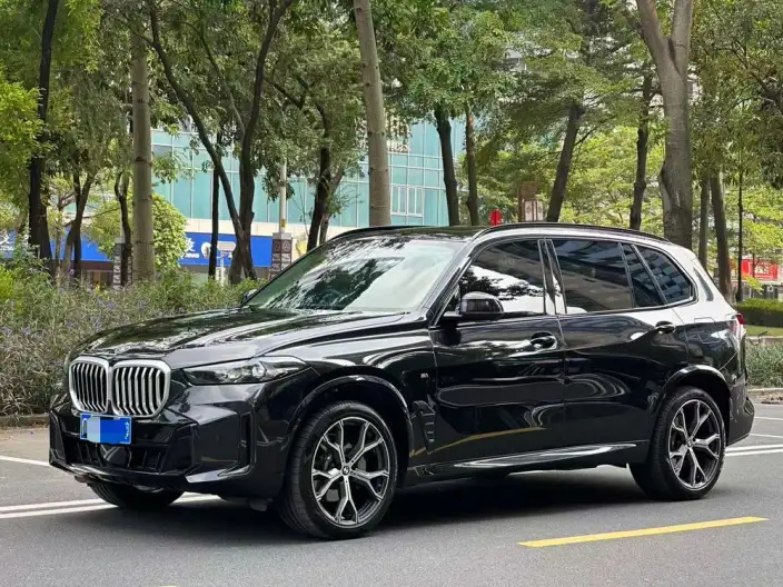 BMW X5 2023 Model xDrive30Li Exclusive Model M Sports Night Set – фото 1