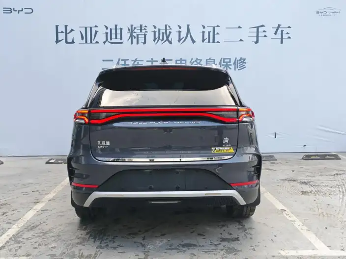 BYD Tang DM 2022 Model DM-p 215KM 4WD Flagship Model – фото 4