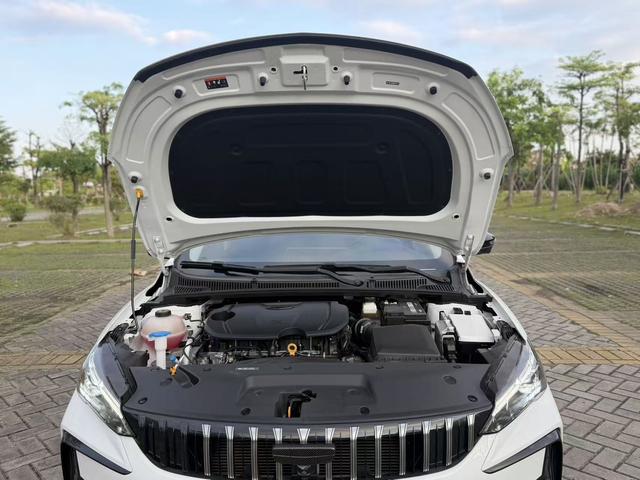 Geely Binrui 2024 Binrui COOL 1.5T DCT Champion – фото 13