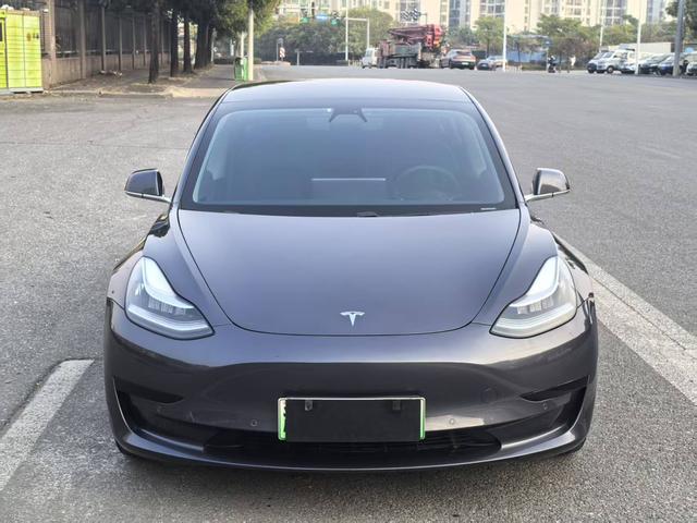 Tesla Model 3 2020 Standard Range RWD Upgraded – фото 2