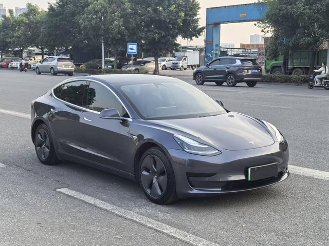 Tesla Model 3 2020 Standard Range RWD Upgraded – фото 3