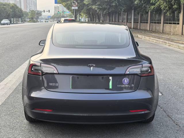 Tesla Model 3 2020 Standard Range RWD Upgraded – фото 5