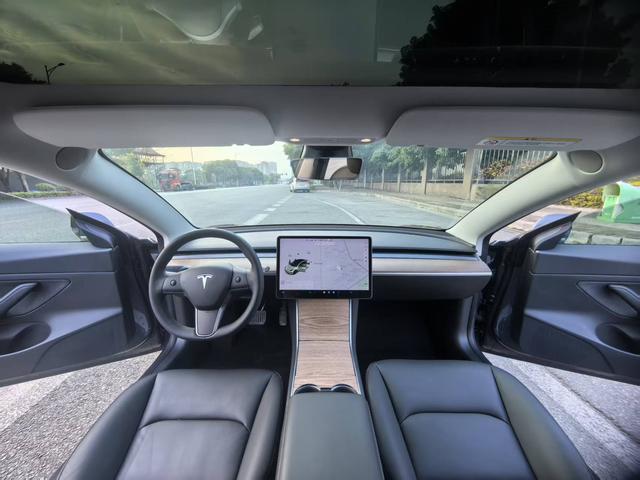 Tesla Model 3 2020 Standard Range RWD Upgraded – фото 11