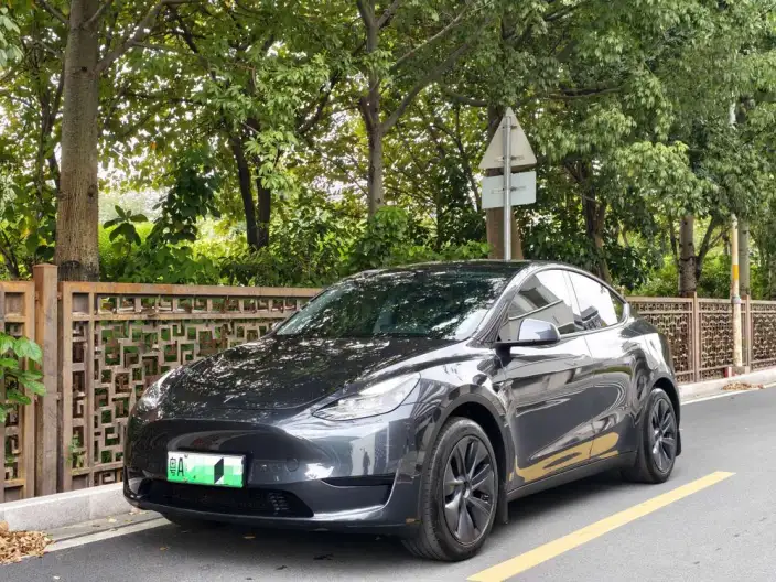 Model Y 2024 Model Rear-wheel drive version – фото 1