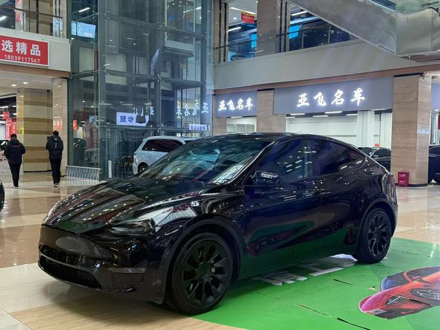 Tesla Model Y 2021 Standard Range RWD – фото 1