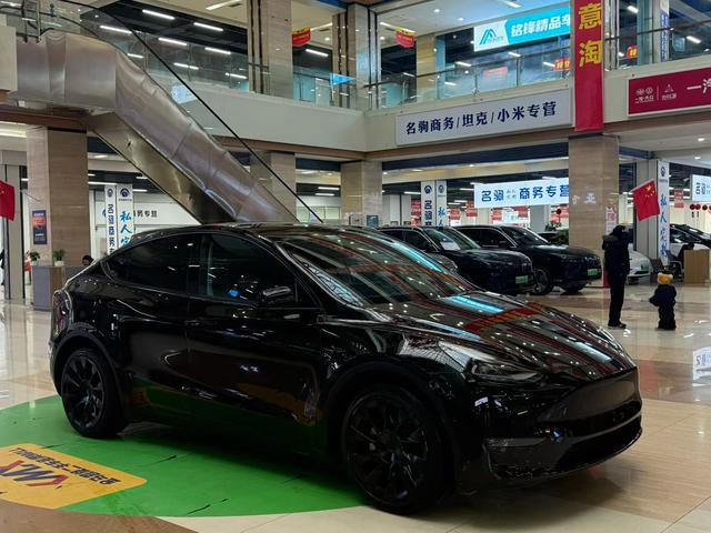 Tesla Model Y 2021 Standard Range RWD – фото 3