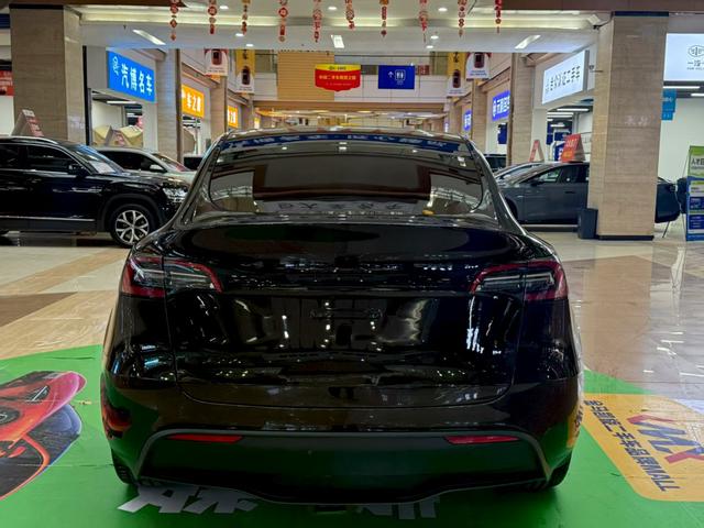 Tesla Model Y 2021 Standard Range RWD – фото 8