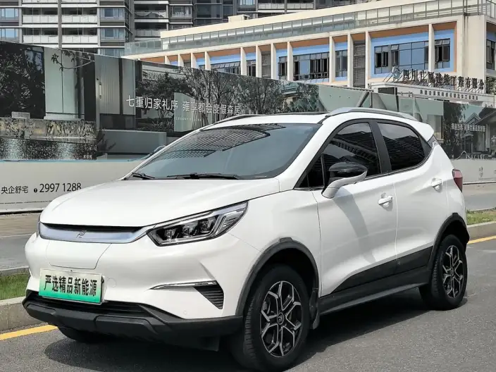 Yuan Pro 2021 Model 401KM Noble Model – фото 1