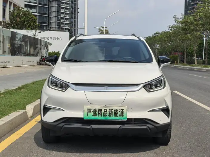 Yuan Pro 2021 Model 401KM Noble Model – фото 2