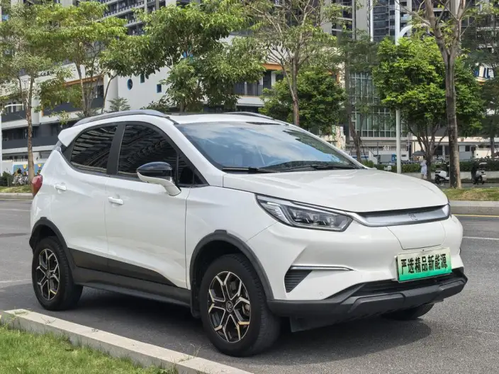 Yuan Pro 2021 Model 401KM Noble Model – фото 3