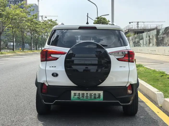 Yuan Pro 2021 Model 401KM Noble Model – фото 6