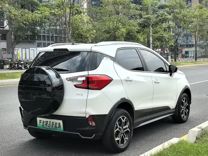 Yuan Pro 2021 Model 401KM Noble Model – фото 7