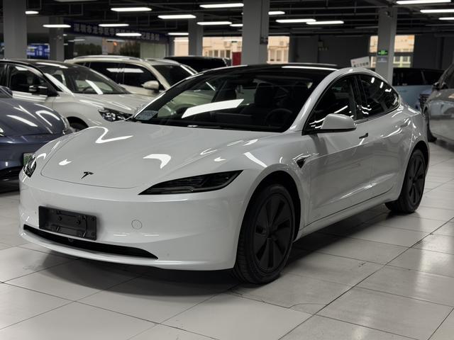 Model 3 2025 модификация комплектация Long Battery Li f e Pro All-wheel drive version – фото 1