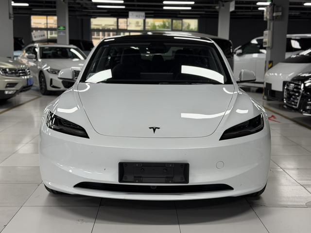 Model 3 2025 модификация комплектация Long Battery Li f e Pro All-wheel drive version – фото 2
