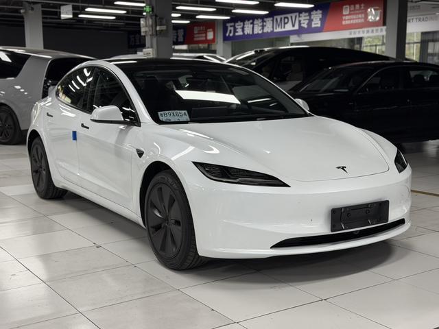 Model 3 2025 модификация комплектация Long Battery Li f e Pro All-wheel drive version – фото 3