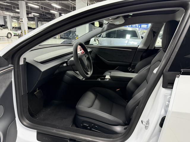 Model 3 2025 модификация комплектация Long Battery Li f e Pro All-wheel drive version – фото 5