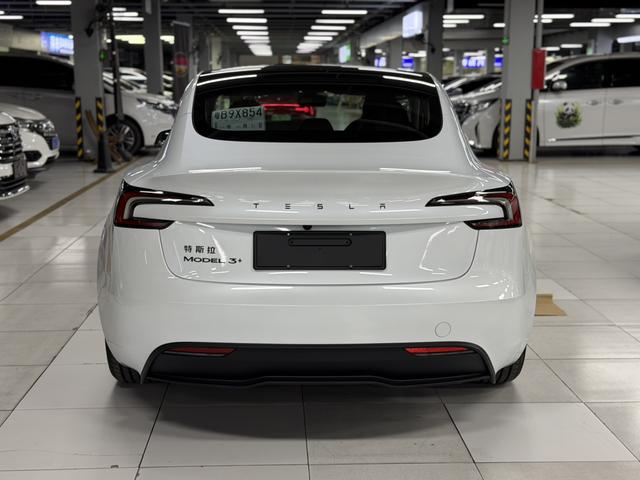 Model 3 2025 модификация комплектация Long Battery Li f e Pro All-wheel drive version – фото 9