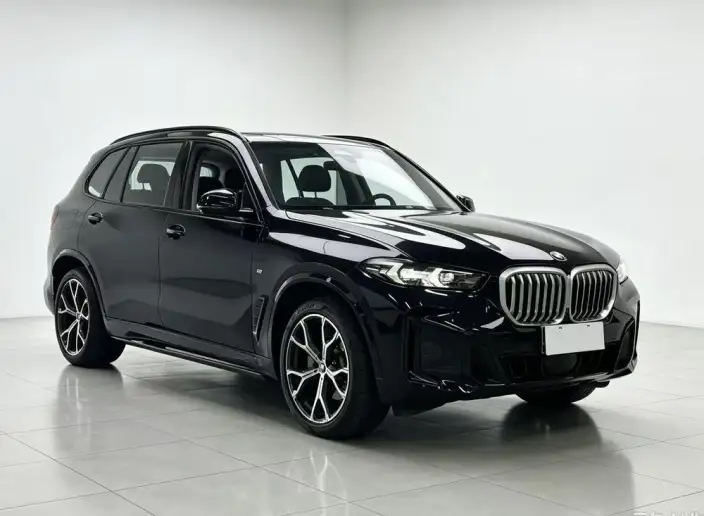 BMW X5 2025 Model xDrive30Li Exclusive Model M Sports Night Set – фото 3