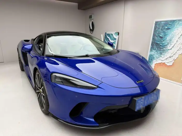 McLaren GT 2019 Model 4.0T Standard Model – фото 6