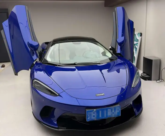 McLaren GT 2019 Model 4.0T Standard Model – фото 7