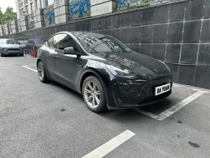 Model Y 2022 Model Facelift Rear-wheel drive version – фото 3