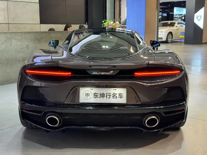 McLaren GT 2019 Model 4.0T Standard Model – фото 5