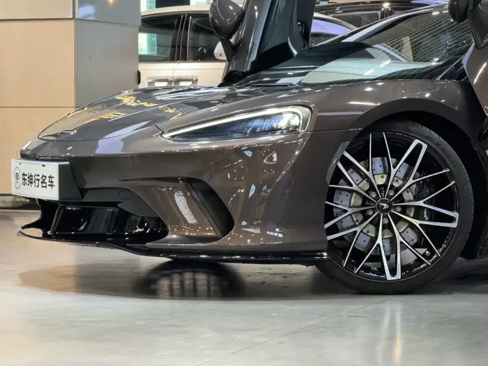 McLaren GT 2019 Model 4.0T Standard Model – фото 6