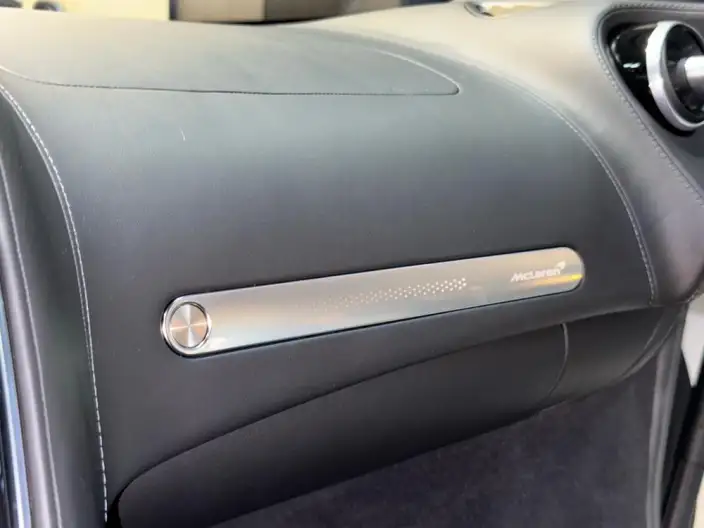 McLaren GT 2019 Model 4.0T Standard Model – фото 8