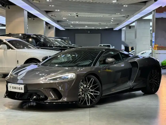 McLaren GT 2019 Model 4.0T Standard Model – фото 9