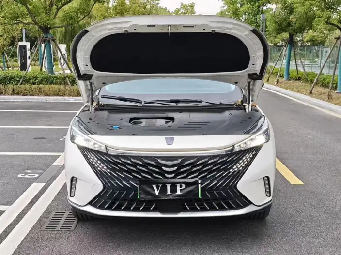 Roewe eRX5 2023 Model Chao Hybrid Zunrong Edition – фото 6