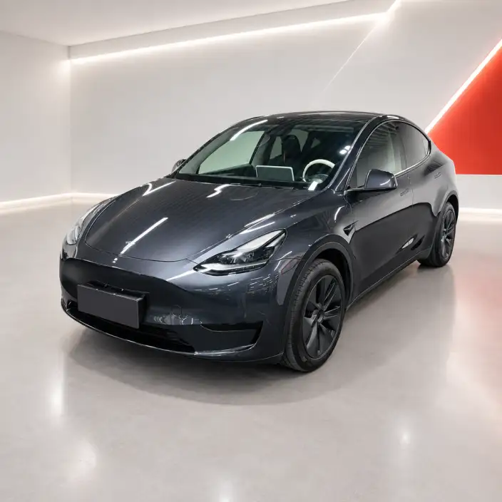 Model Y 2024 Model Rear-wheel drive version – фото 1