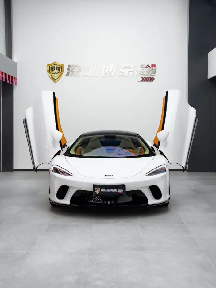 McLaren GT 2019 Model 4.0T Standard Model – фото 6