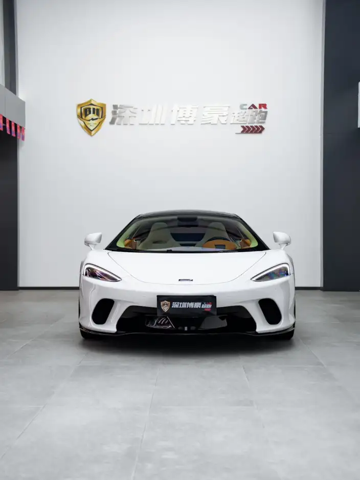 McLaren GT 2019 Model 4.0T Standard Model – фото 8