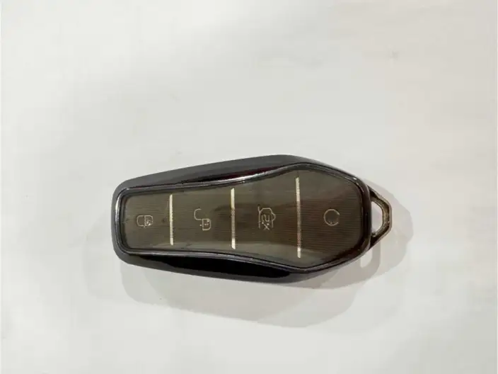 BYD Seal 2022 Model 550KM Standard Battery Life Rear Drive Edition Elite Model – фото 6