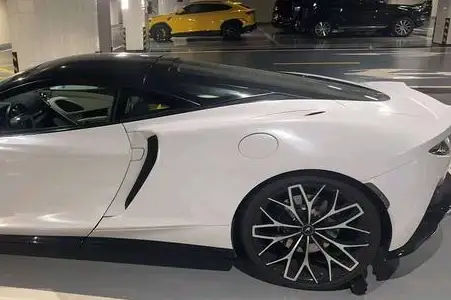 McLaren GT 2019 Model 4.0T Standard Model – фото 7