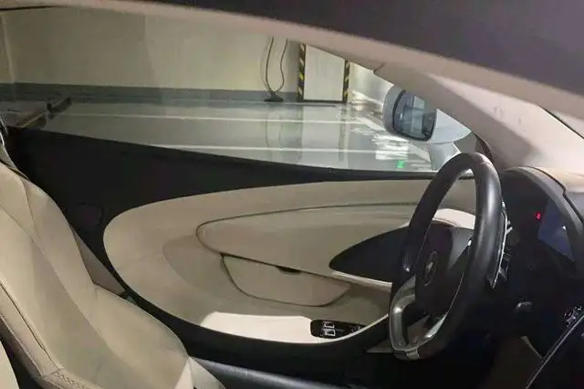 McLaren GT 2019 Model 4.0T Standard Model – фото 8