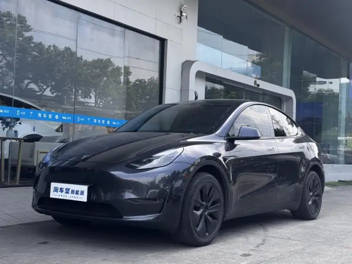 Model Y 2024 Model Long Battery Life Pro All-wheel drive version – фото 1