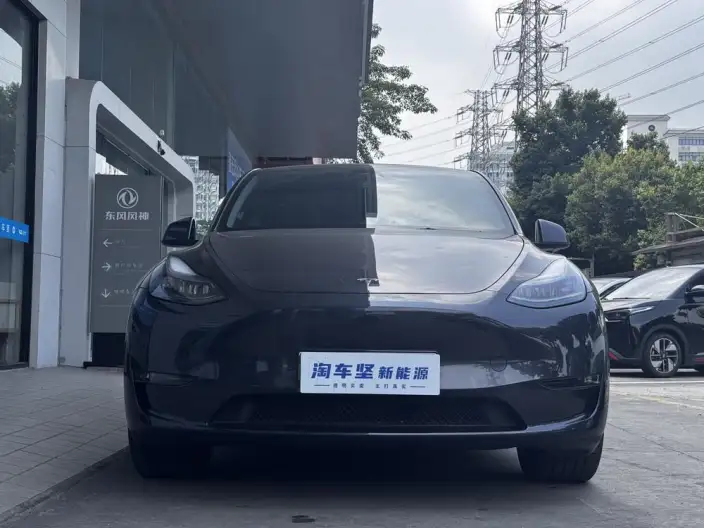 Model Y 2024 Model Long Battery Life Pro All-wheel drive version – фото 2