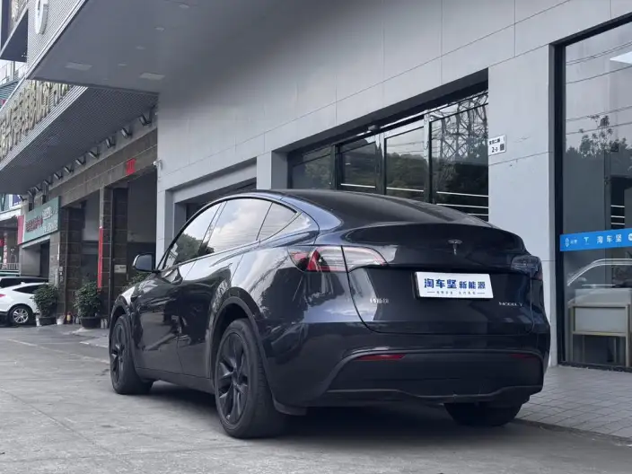 Model Y 2024 Model Long Battery Life Pro All-wheel drive version – фото 4