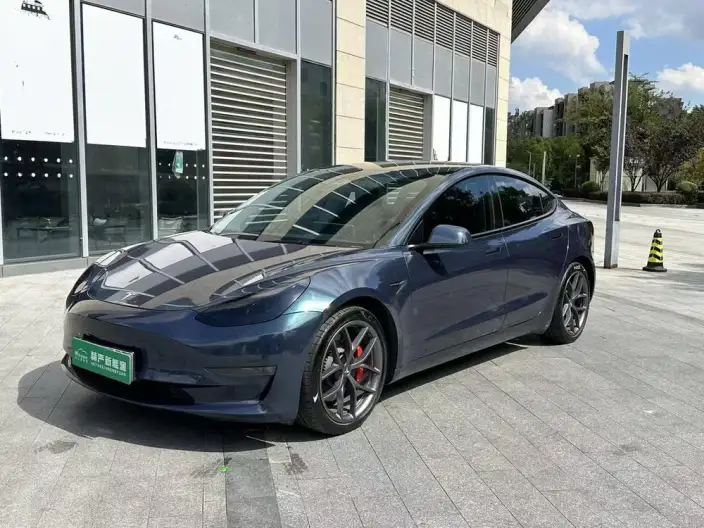 Model 3 2022 Model Performance High performance All-wheel drive version – фото 1