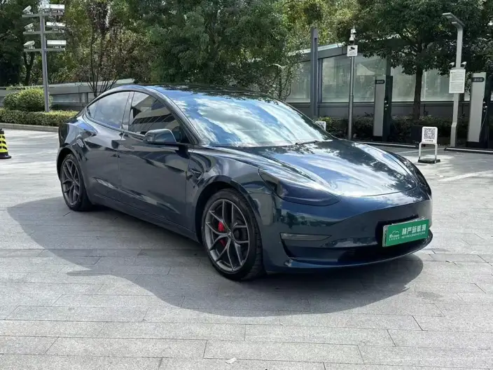 Model 3 2022 Model Performance High performance All-wheel drive version – фото 3