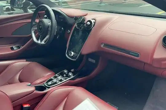 McLaren GT 2019 Model 4.0T Standard Model – фото 7