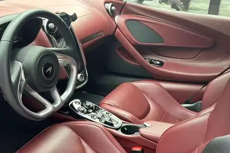 McLaren GT 2019 Model 4.0T Standard Model – фото 8