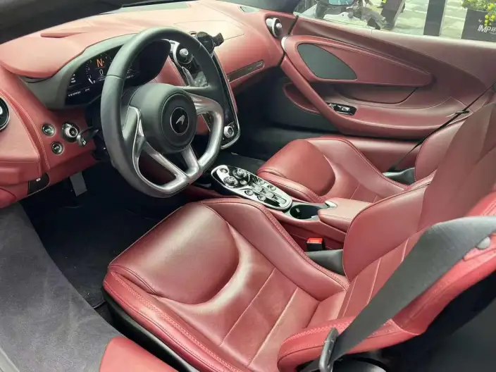 McLaren GT 2019 Model 4.0T Standard Model – фото 9