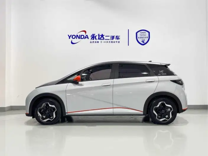 BYD Dolphin 2021 Model Fashion Edition – фото 3